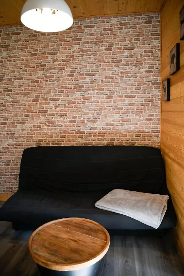 Coniferes Furnished Flat Apartment Chamonix France