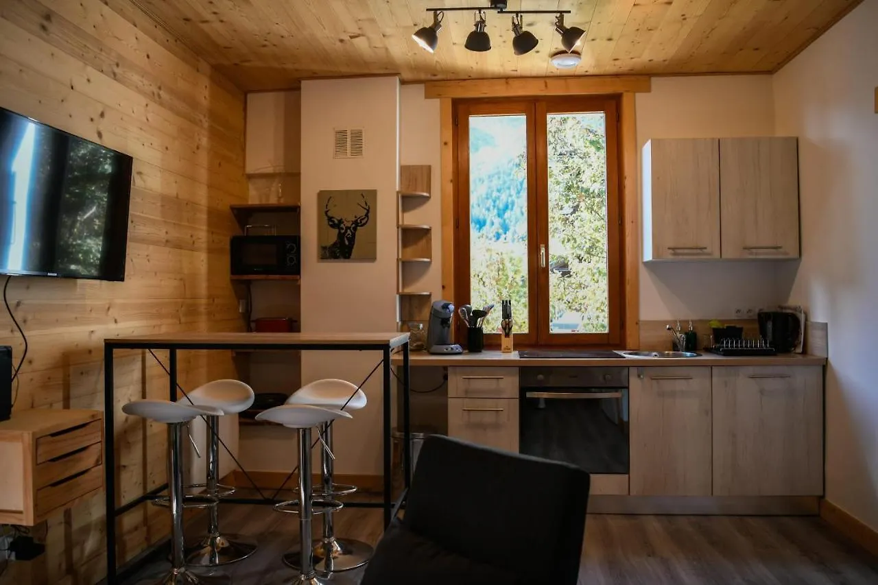 Coniferes Furnished Flat Apartment Chamonix
