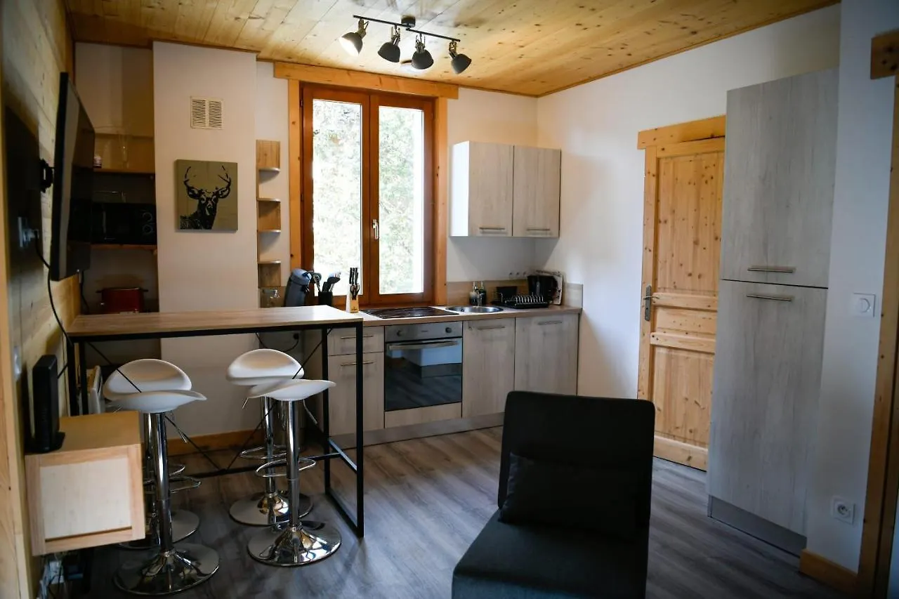 Coniferes Furnished Flat Apartment Chamonix