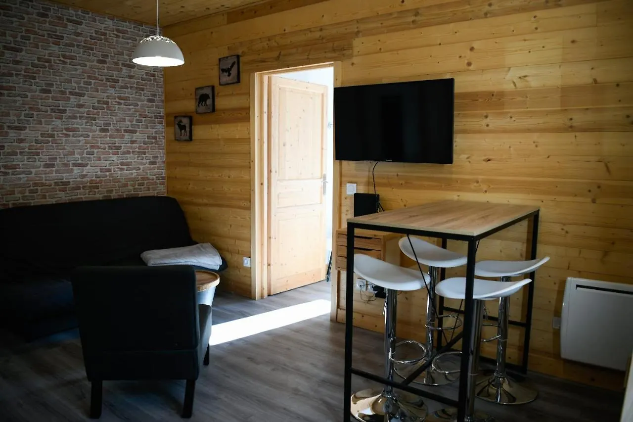 Coniferes Furnished Flat Apartment Chamonix
