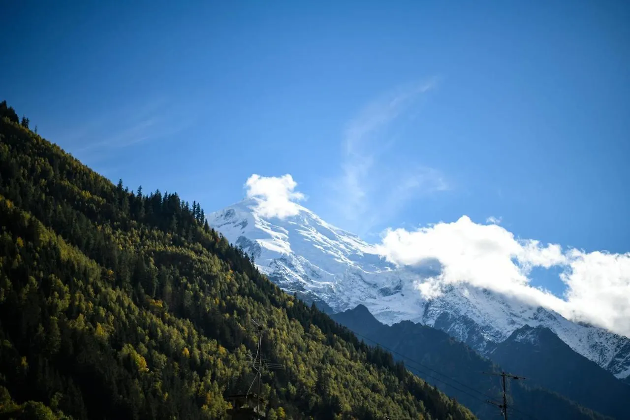 Coniferes Furnished Flat Apartment Chamonix